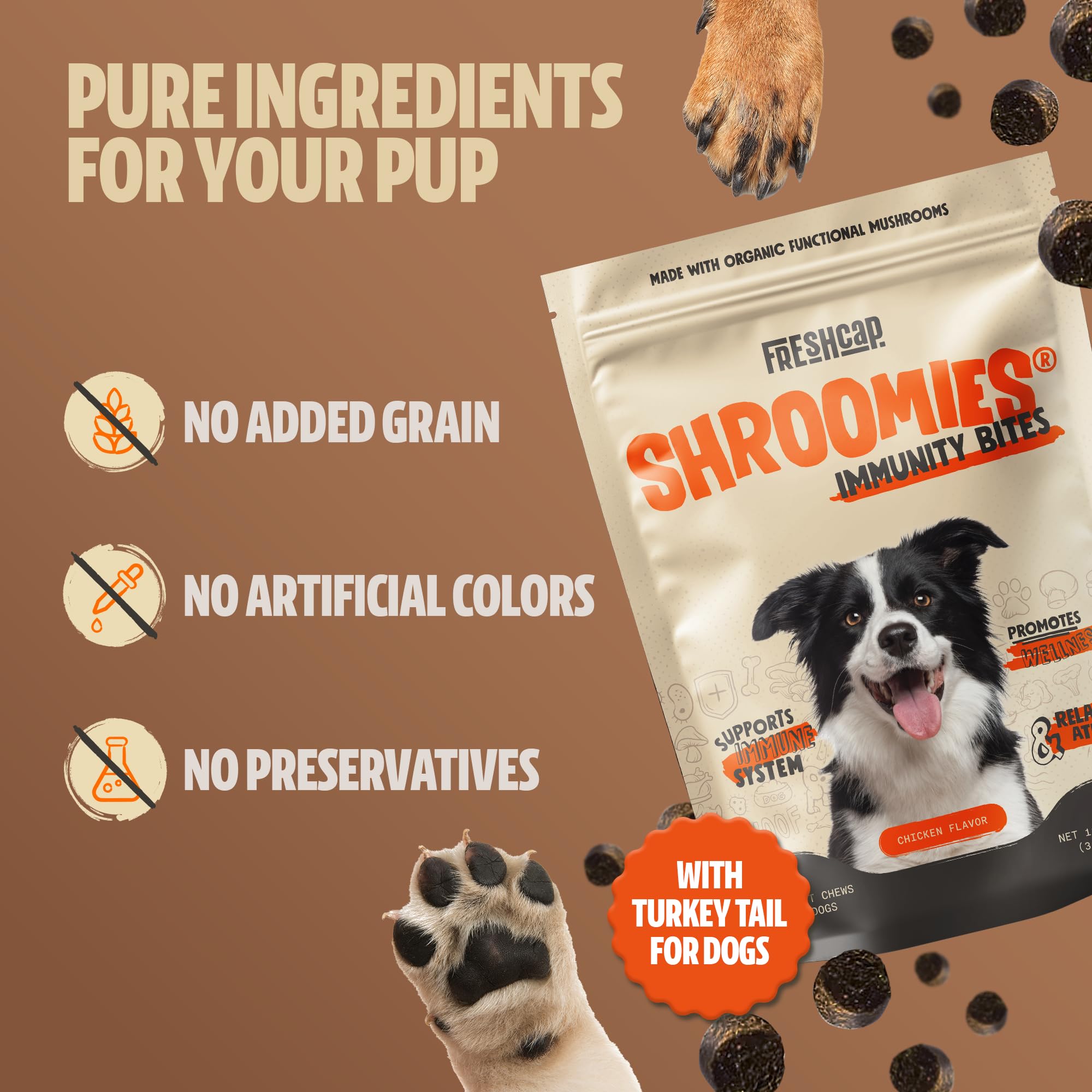 FreshCap Shroomies dog relaxed with chew suggesting easy daily wellness support
