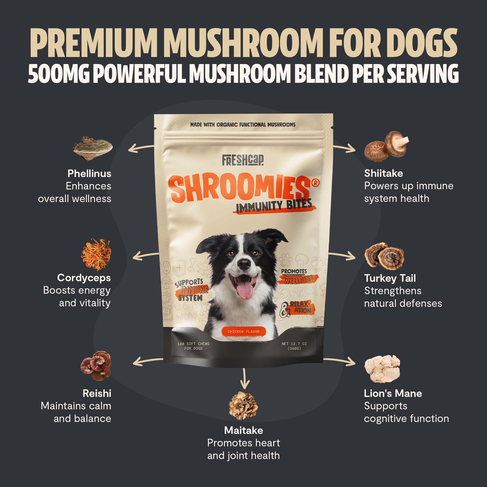 FreshCap Shroomies soft chews close-up indicating tasty, calming treats for dogs