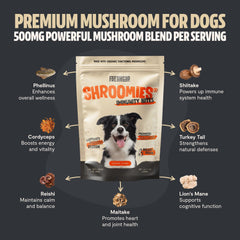 FreshCap Shroomies soft chews close-up indicating tasty, calming treats for dogs