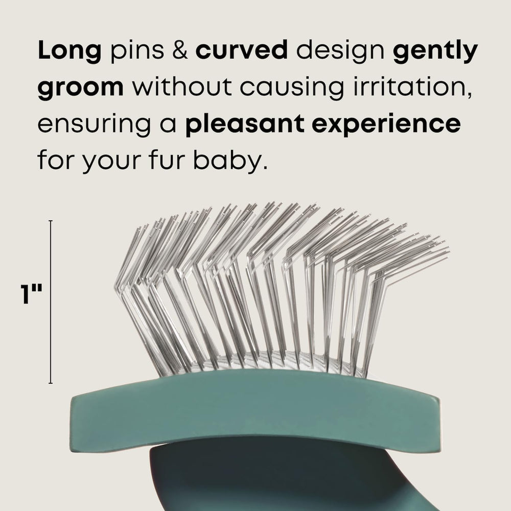 Freshly Bailey Doodle Brush gentle-on-skin keeps brushing comfortable for sensitive dogs