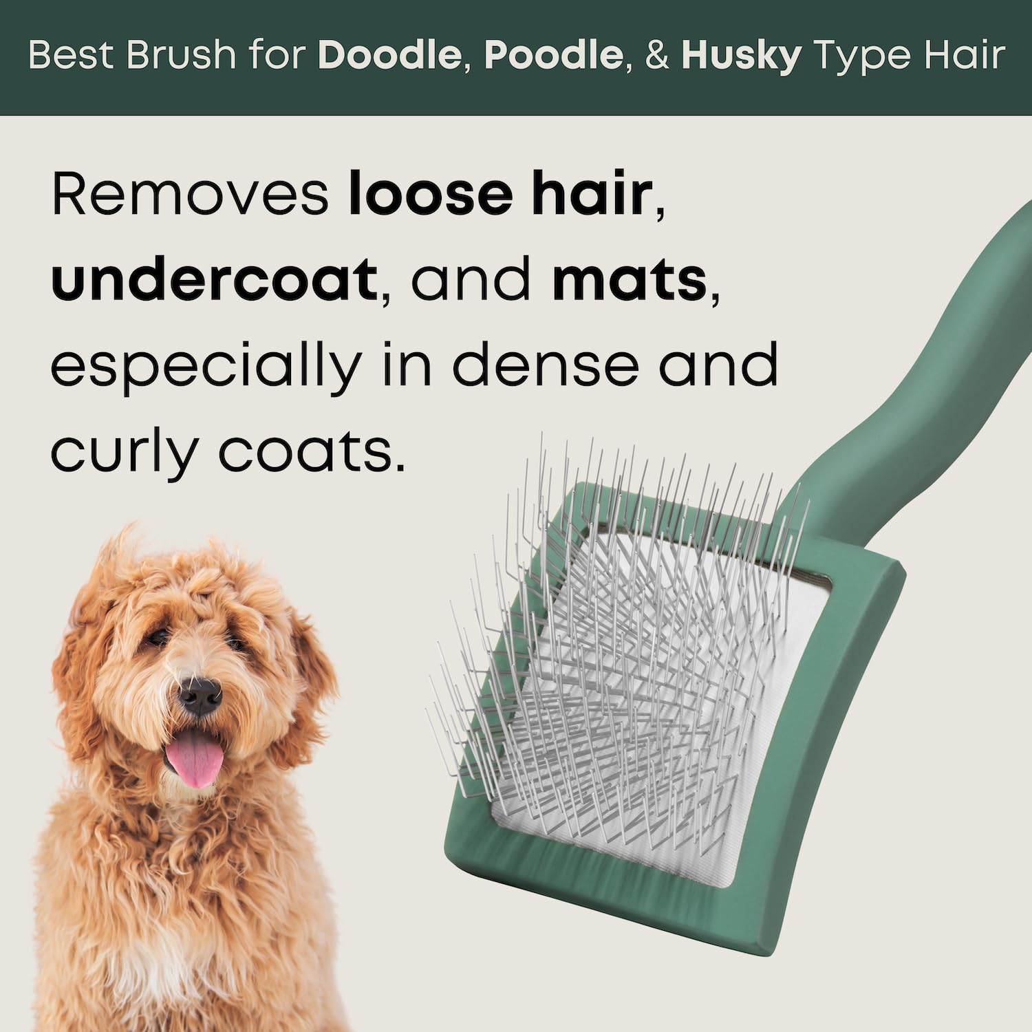 Freshly Bailey Doodle Brush long-pin-design glides through curly coats for gentle grooming