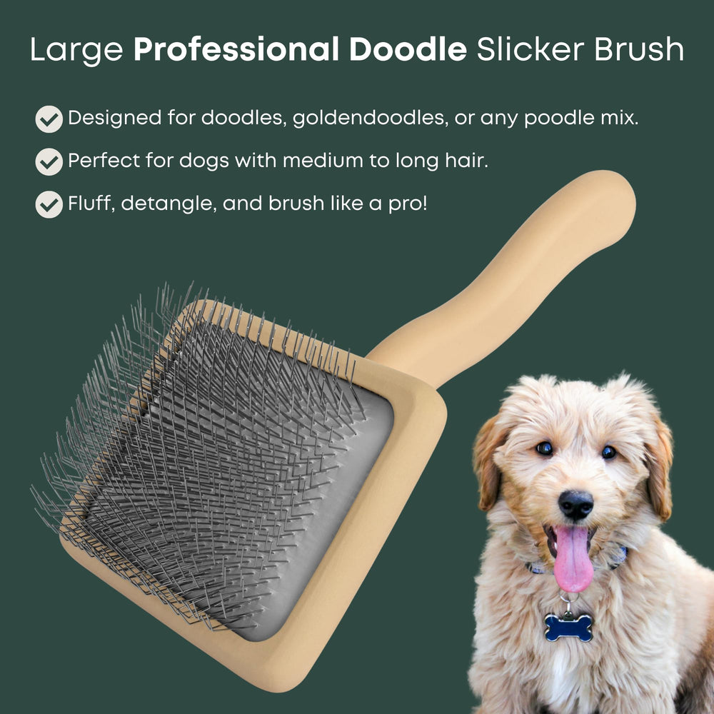 Deep brushing with Freshly Bailey Doodle Slicker Brush for undercoat access