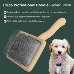 Deep brushing with Freshly Bailey Doodle Slicker Brush for undercoat access