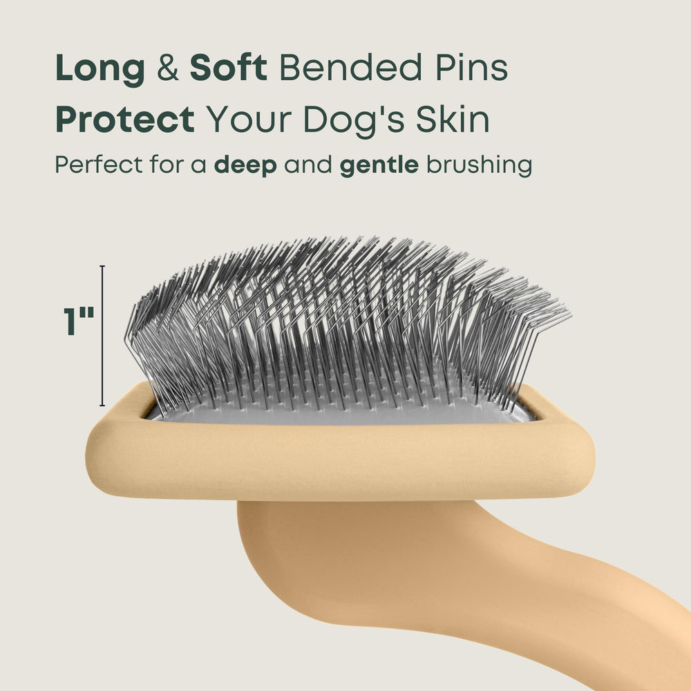 Detangling and dirt removal with Freshly Bailey Doodle Slicker Brush