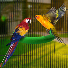 FrgKbTm parrot perch rough-surface sand texture aids natural beak and nail maintenance.
