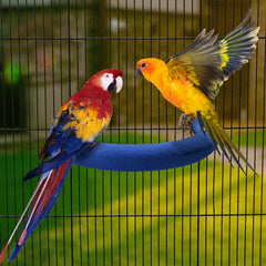 FrgKbTm U Shape Parrot Perch blue with rough sand surface for beak maintenance.