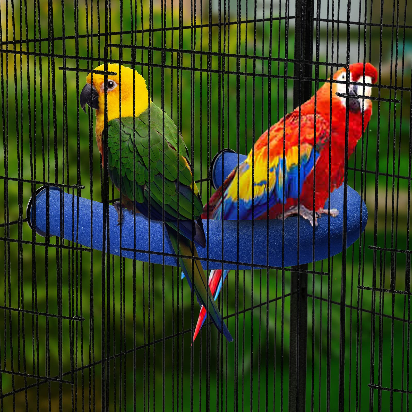 FrgKbTm Parrot perch blue mounted securely for space-saving cage setup.