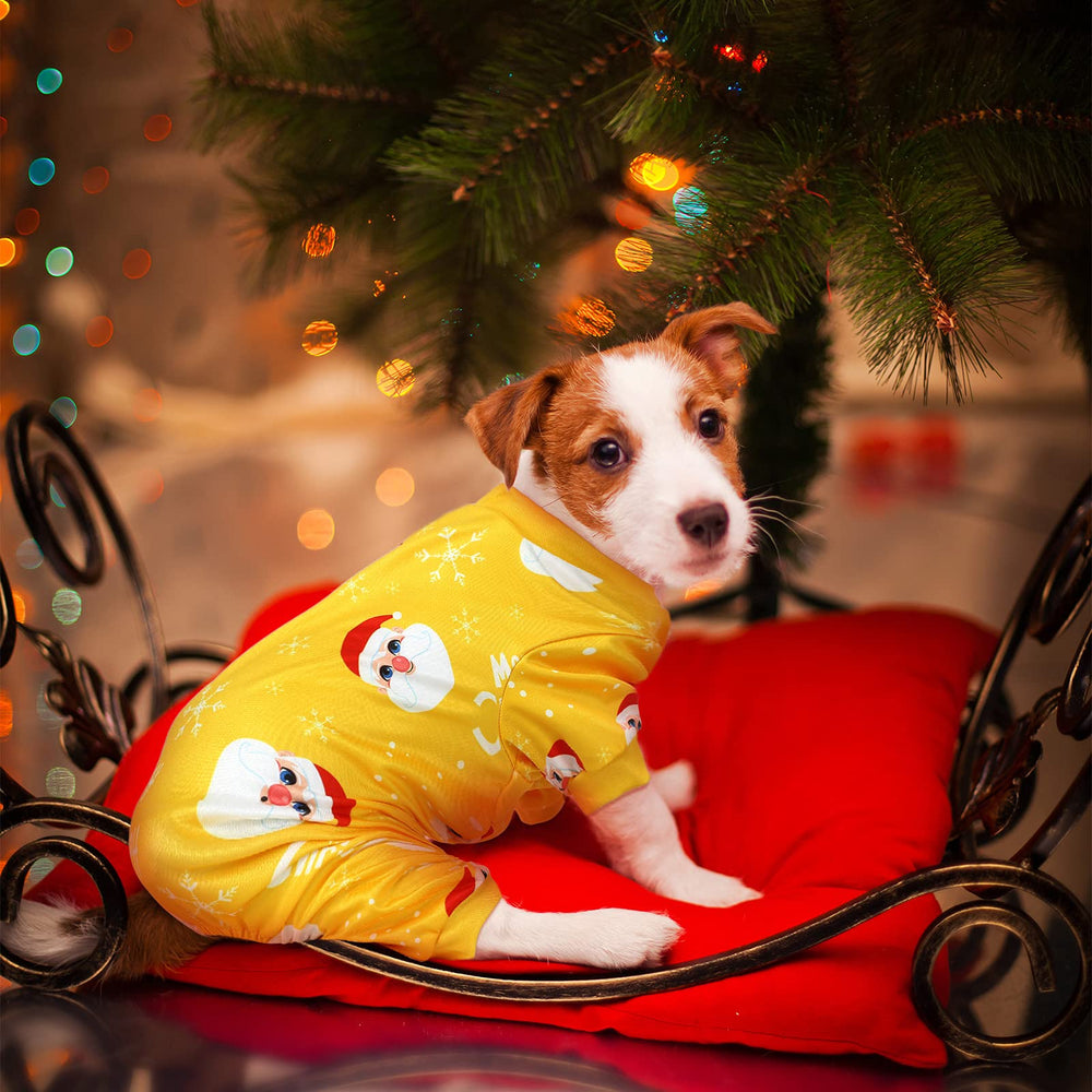 Frienda puppy wearing Christmas pajamas during walk demonstrates versatile holiday wear