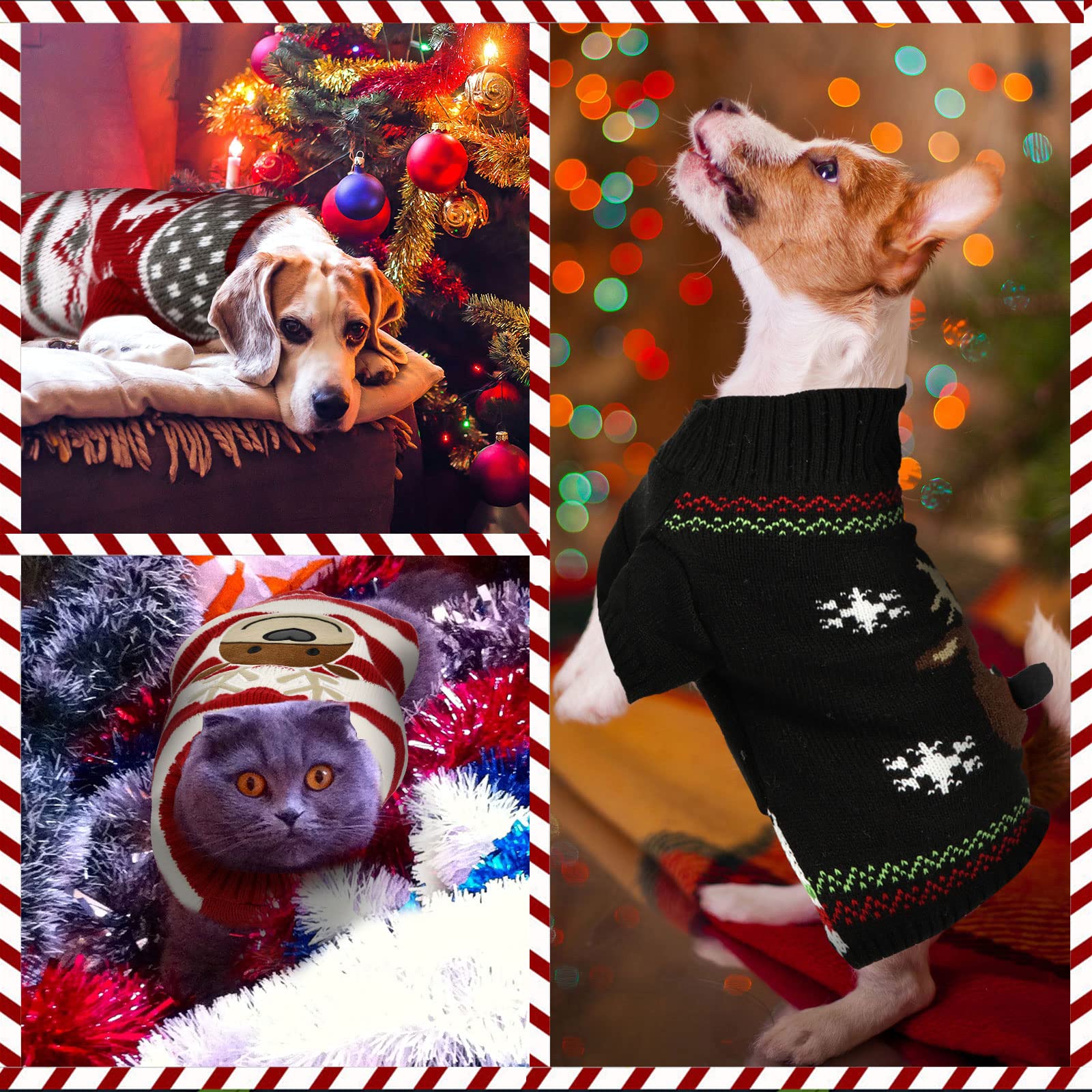 Frienda dog sweater with reindeer pattern warms pets on winter outings.