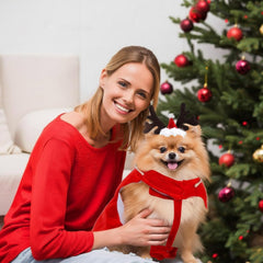 Frienda Christmas pet costume packaging showcases gift-ready presentation.