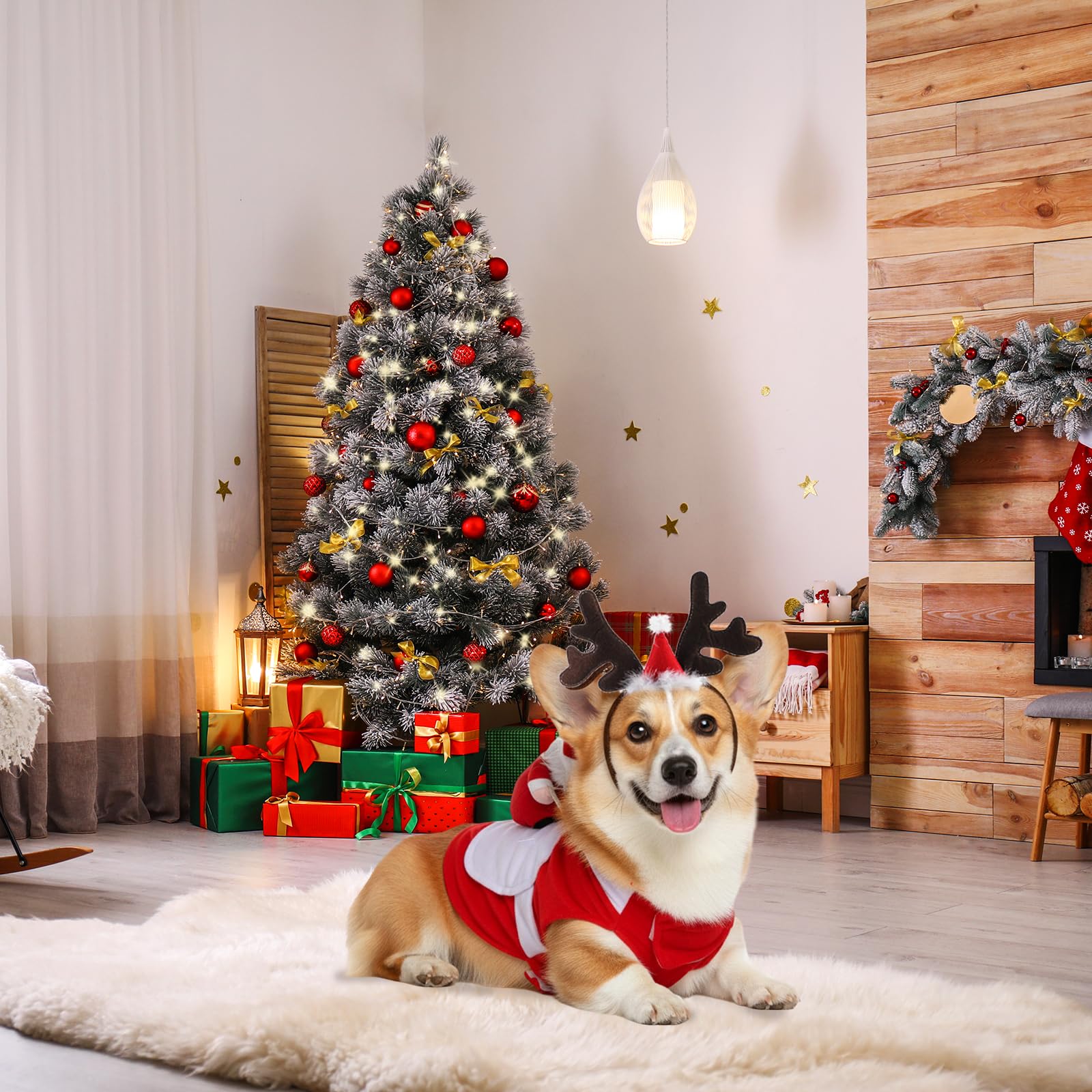 Frienda Christmas pet photoshoot setup captures festive vibe and photo-ready poses.