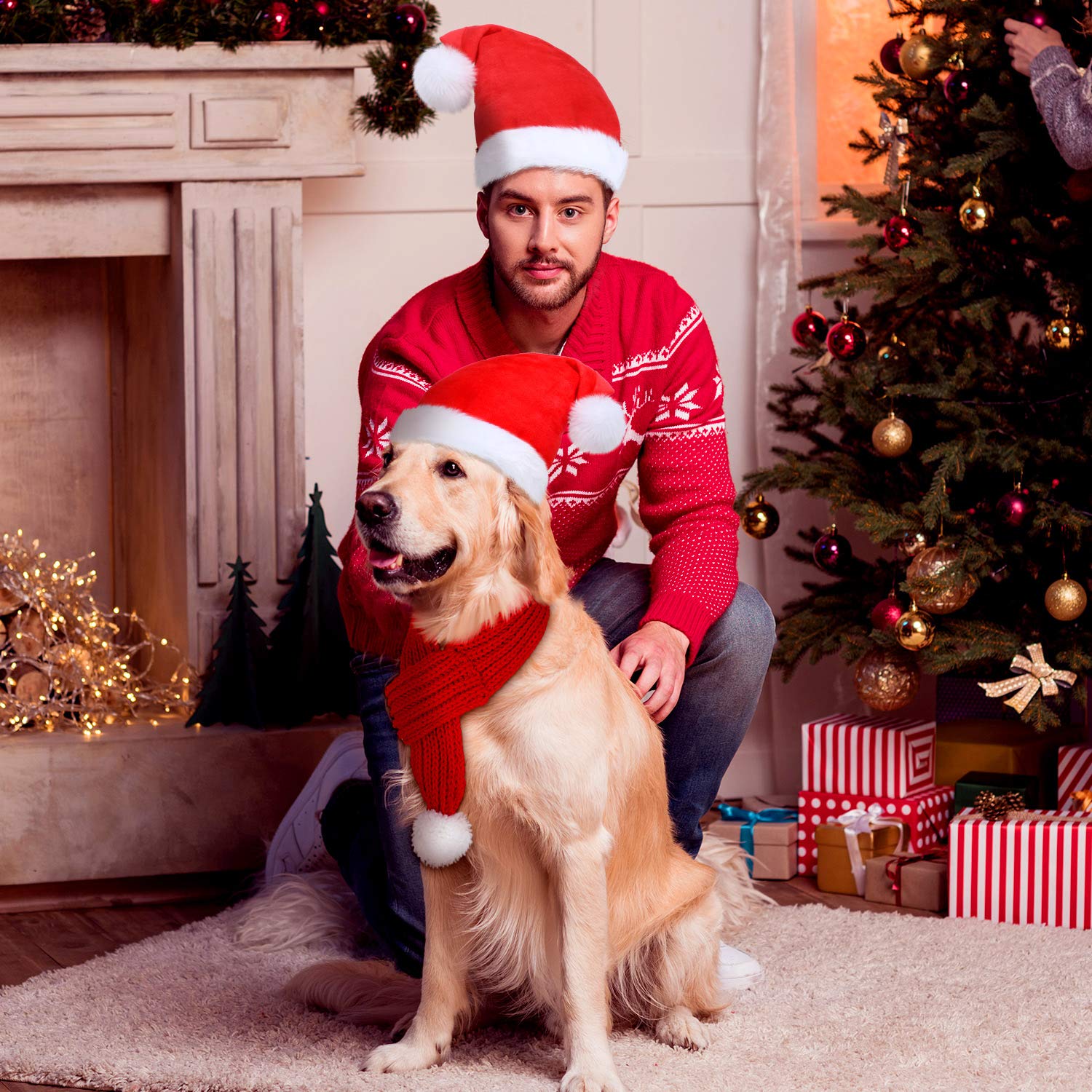 Frienda Christmas set pack includes hats and scarves for pets.