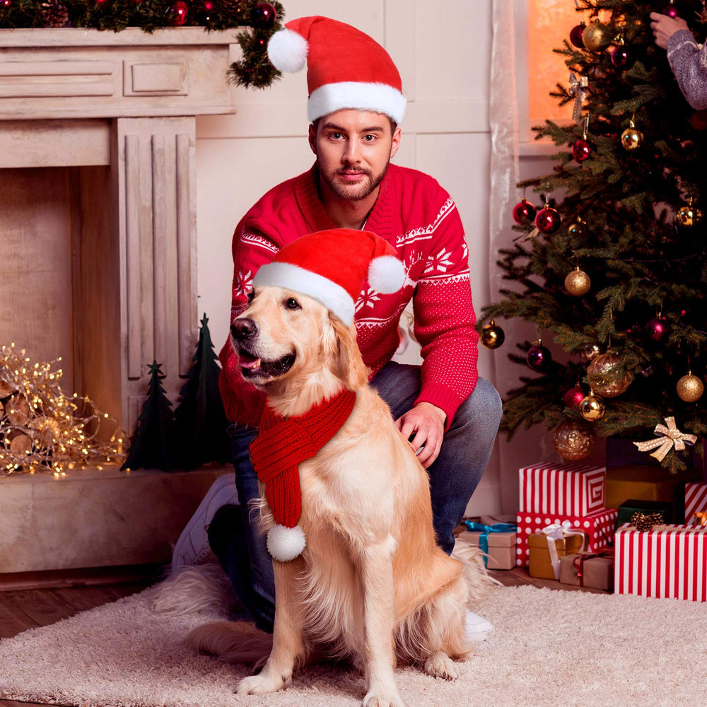 Frienda Christmas set pack includes hats and scarves for pets.
