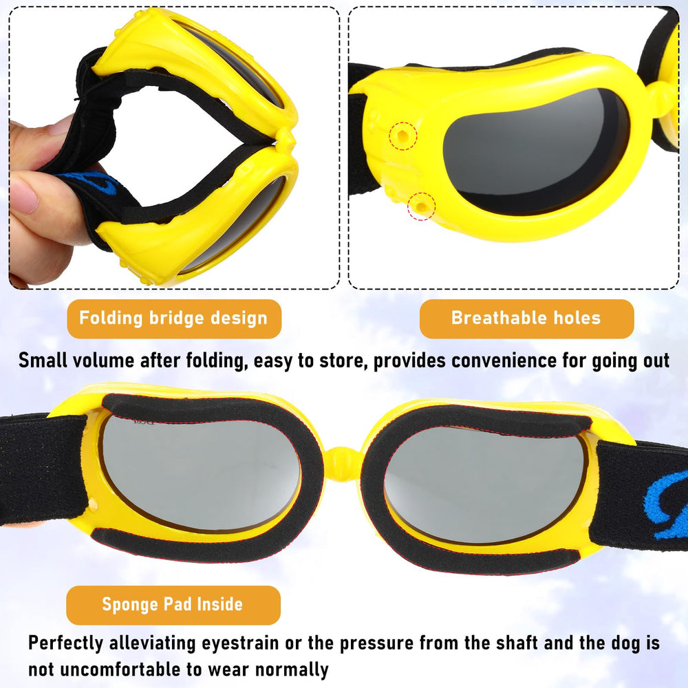 Frienda dog goggles close-up highlights hard lenses for eye protection