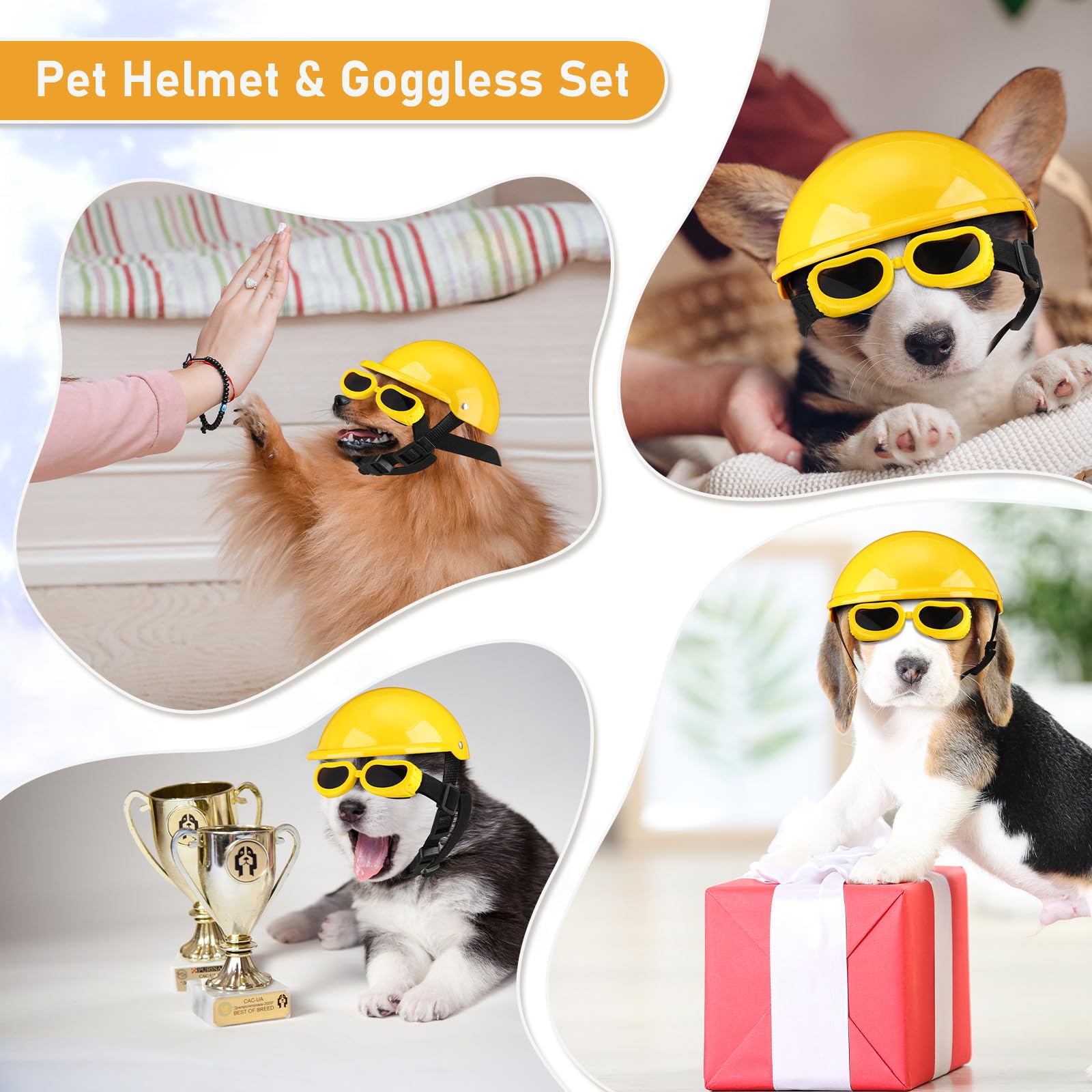 Frienda dog helmet and goggles worn during outdoor walk for safety and style