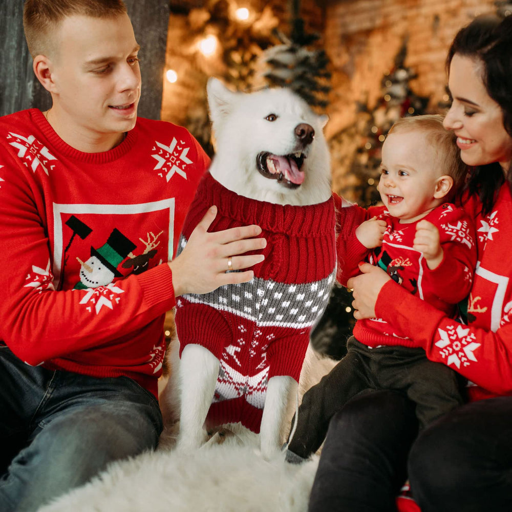 Frienda Santa-Reindeer-Snowman design sweater for festive dress-up and photos