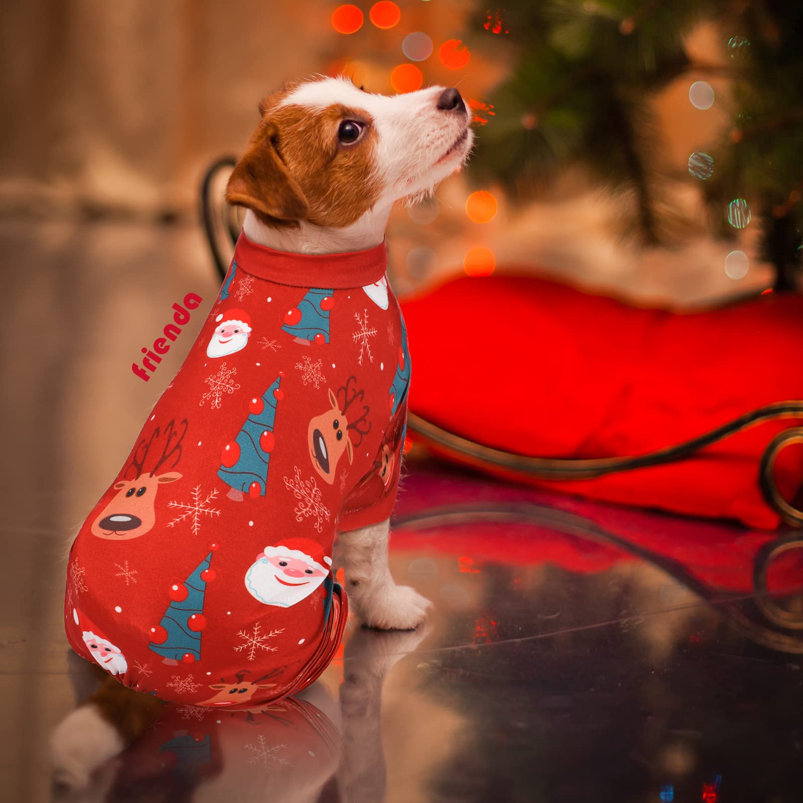 Frienda holiday pet costume ideal for Christmas parties and events