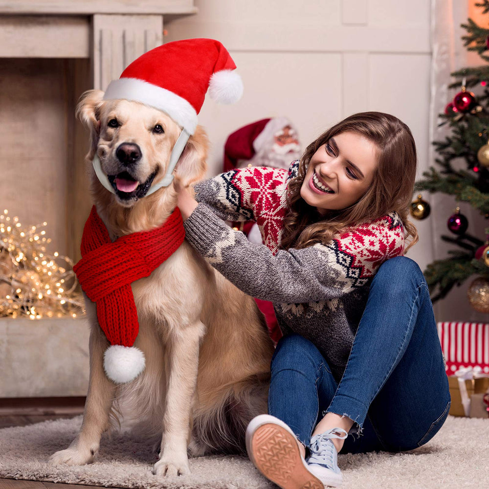 Frienda winter pet accessory bundle for cute holiday moments.