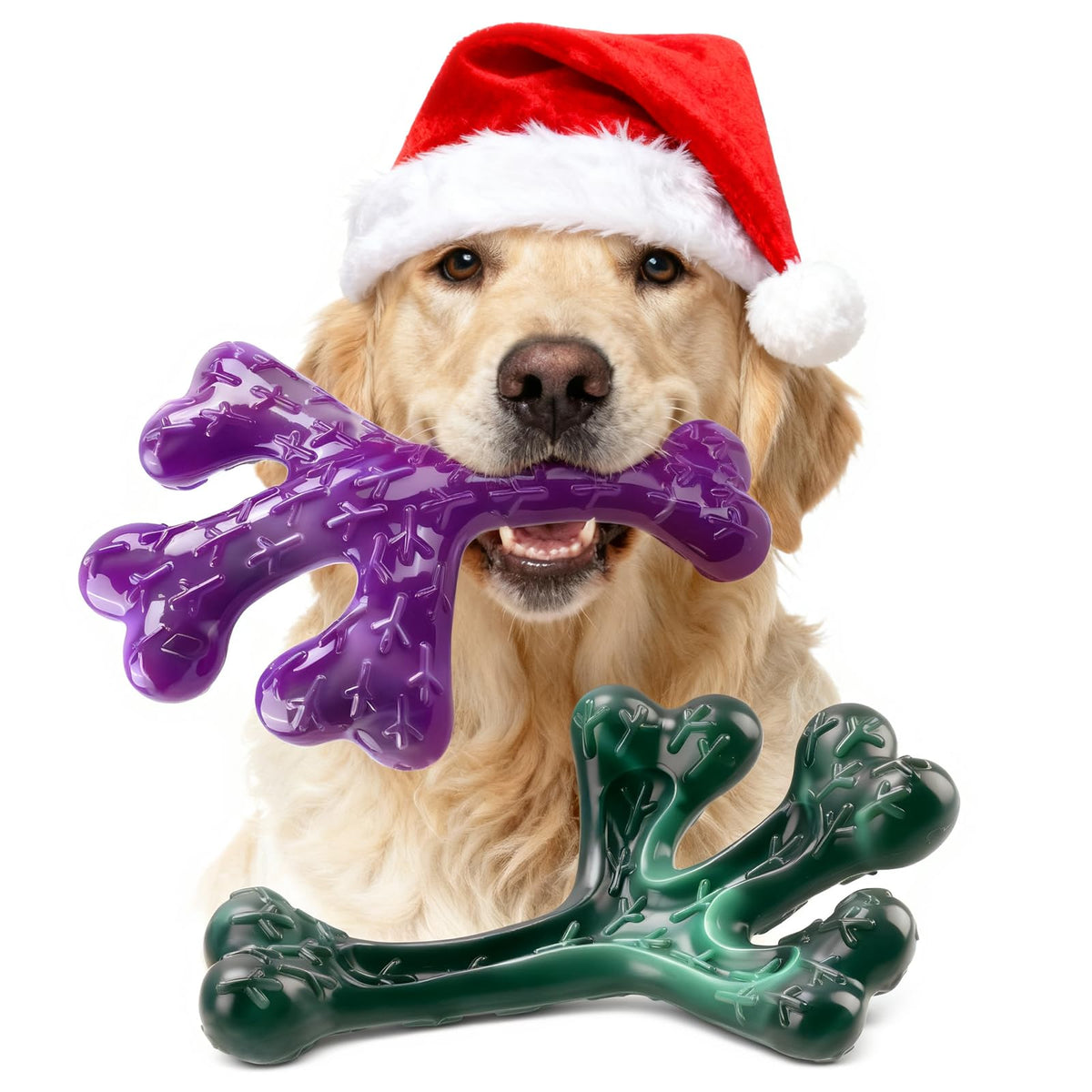Frienhund aggressive chewers bone-shaped dog toy for durable interactive chewing