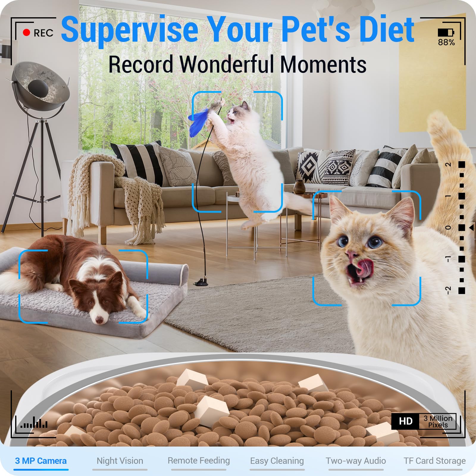 Frienhund 2K camera night vision ensures clear pet sightings after dark.