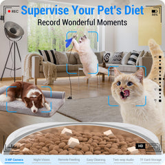 Frienhund 2K camera night vision ensures clear pet sightings after dark.