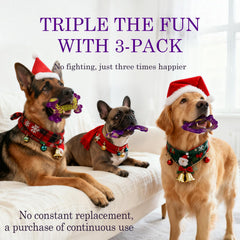 Frienhund Bacon-Flavored Toy—irresistible taste boosts focused chewing.