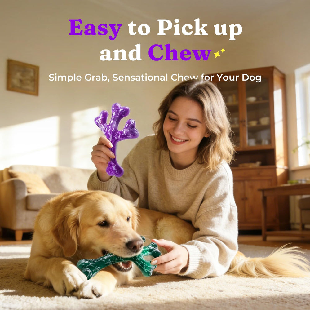 Frienhund beef-flavored dog toy pack for extended chewing sessions