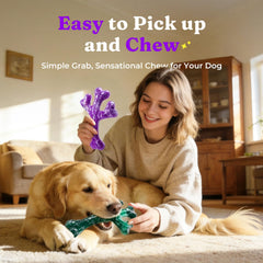 Frienhund beef-flavored dog toy pack for extended chewing sessions