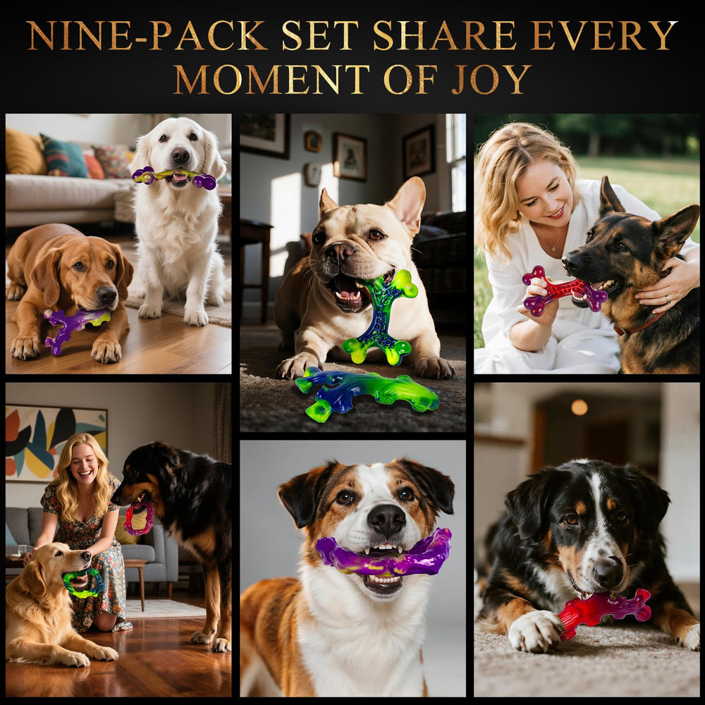 Frienhund gift-ready dog toy set ideal for celebrations.