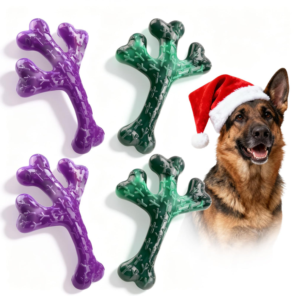 Frienhund indestructible nylon bone chew for aggressive chewers.