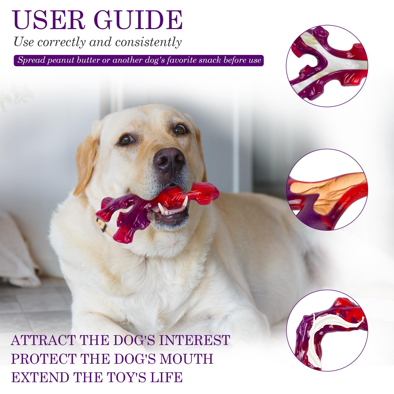Frienhund interactive toy with snack slot for ice cream or peanut butter.
