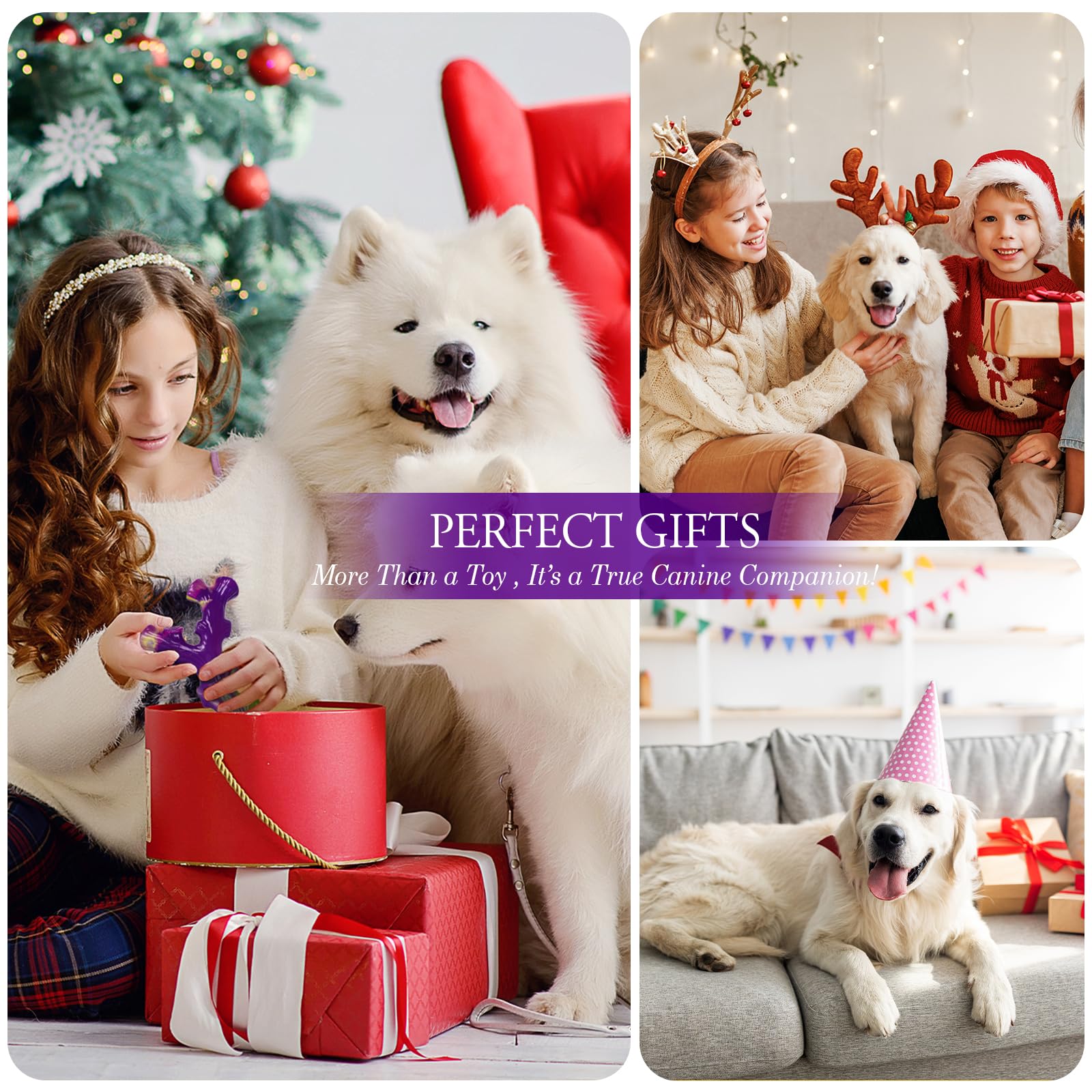 Frienhund Large-Breed Toy—designed for 15-60 lb dogs.