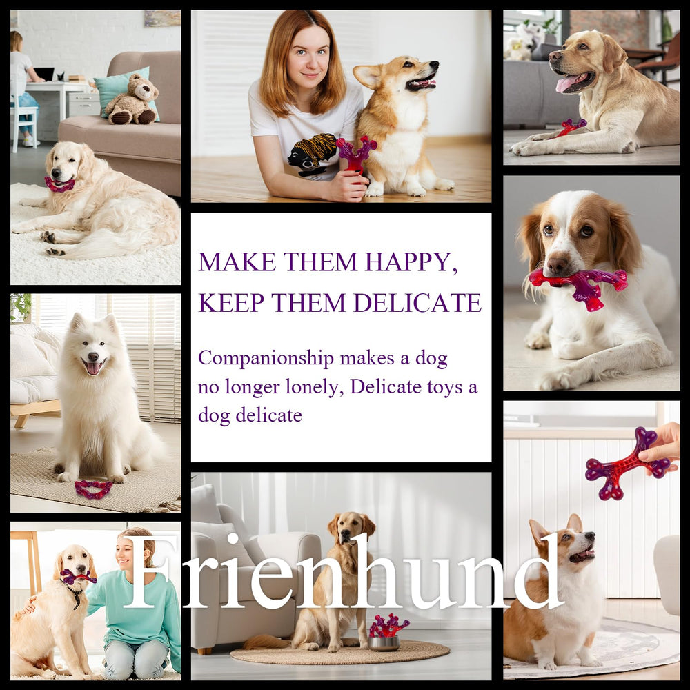 Frienhund oral hygiene chew toy supports teeth-cleaning during play.