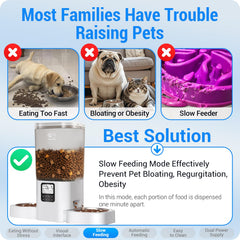 Frienhund slow-feed mode portions meals over time to promote calm eating.