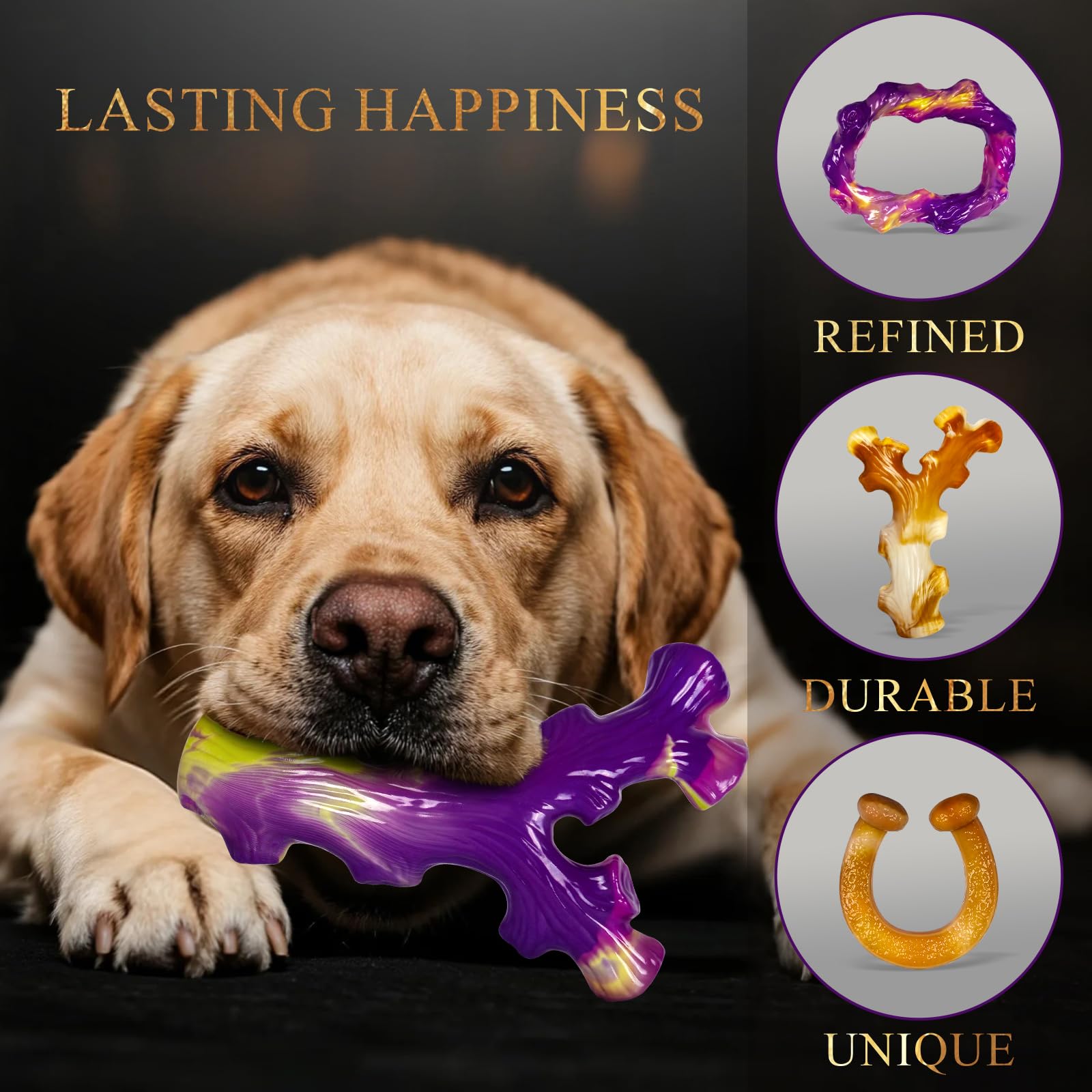 Frienhund vision emphasizes companionship and active engagement for dogs