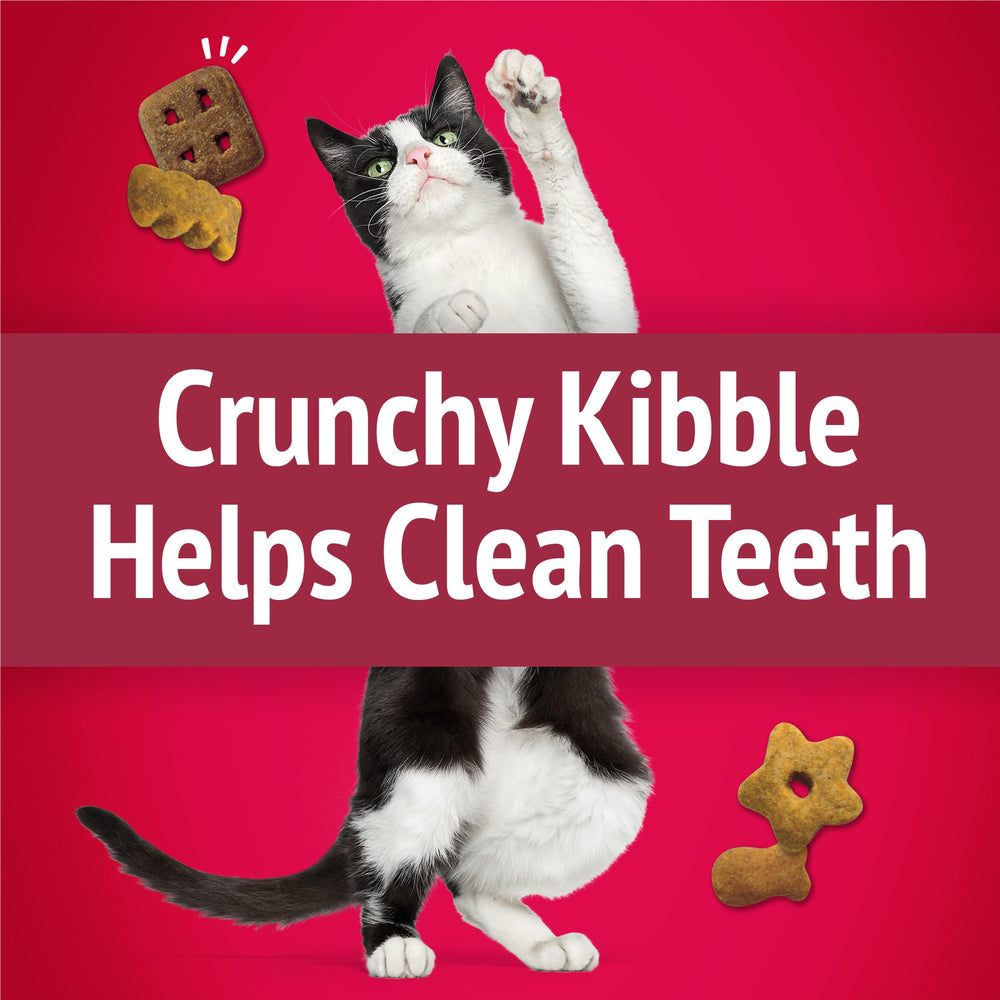 Friskies chicken beef salmon flavors swirl variety