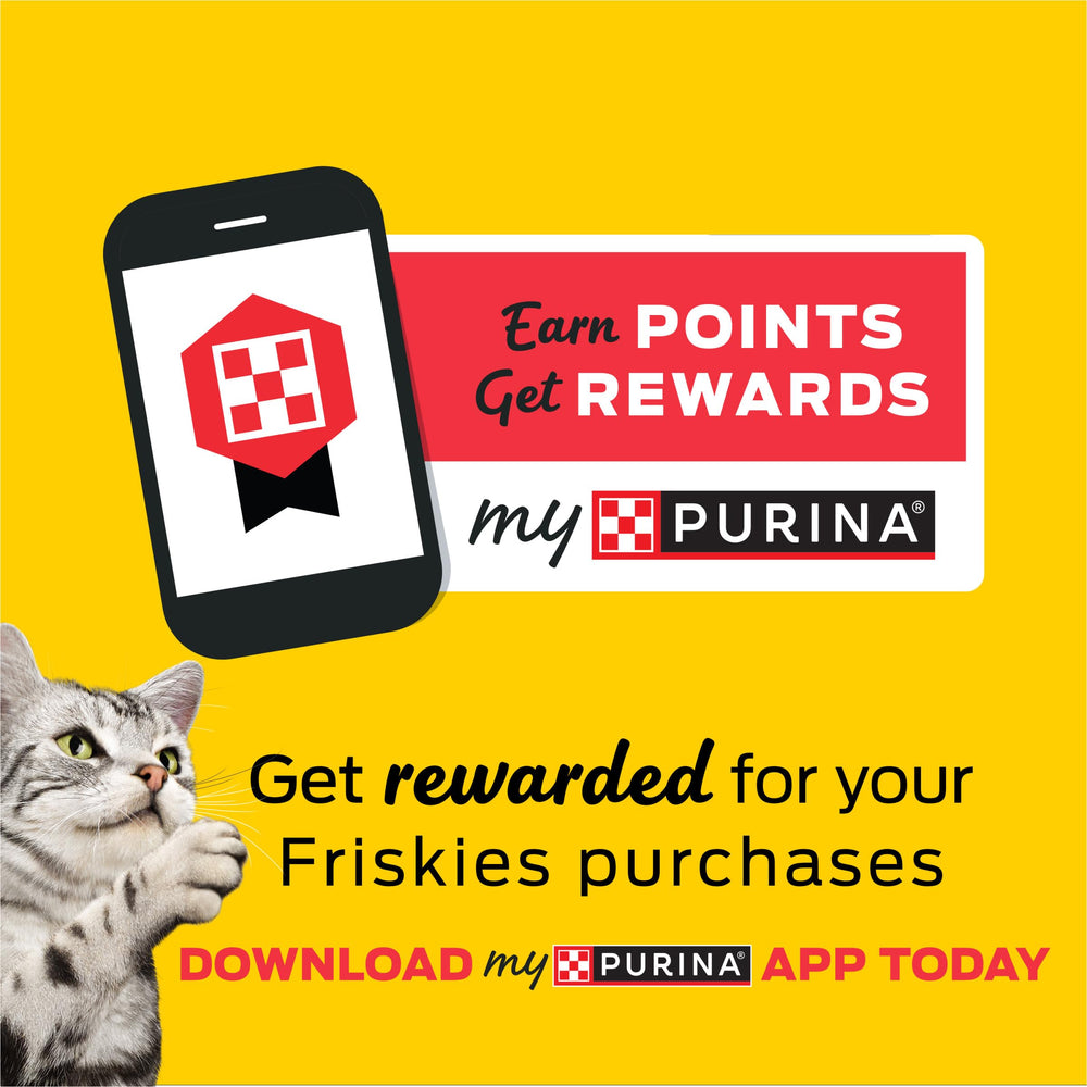 Friskies Lil' Gravies package-closeup highlights convenient packaging design.