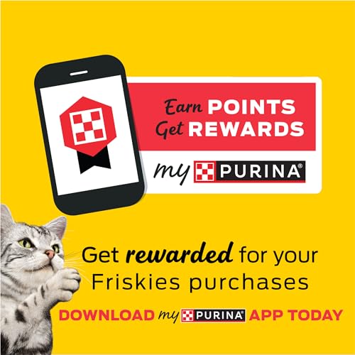 Friskies Playfuls cat-bonding moment with treats highlights shared fun.