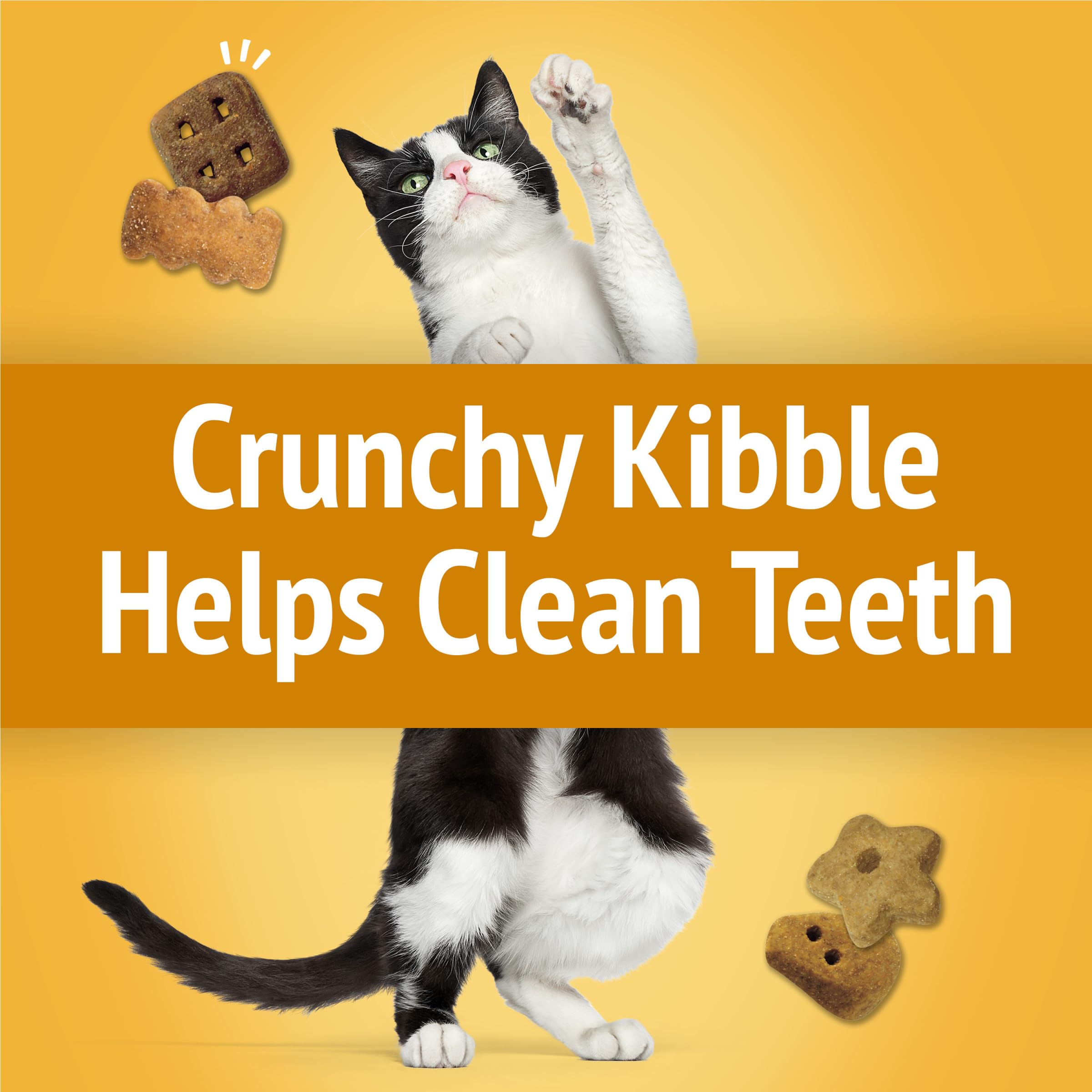 Friskies textura crujiente ayuda a mantener dientes más limpios