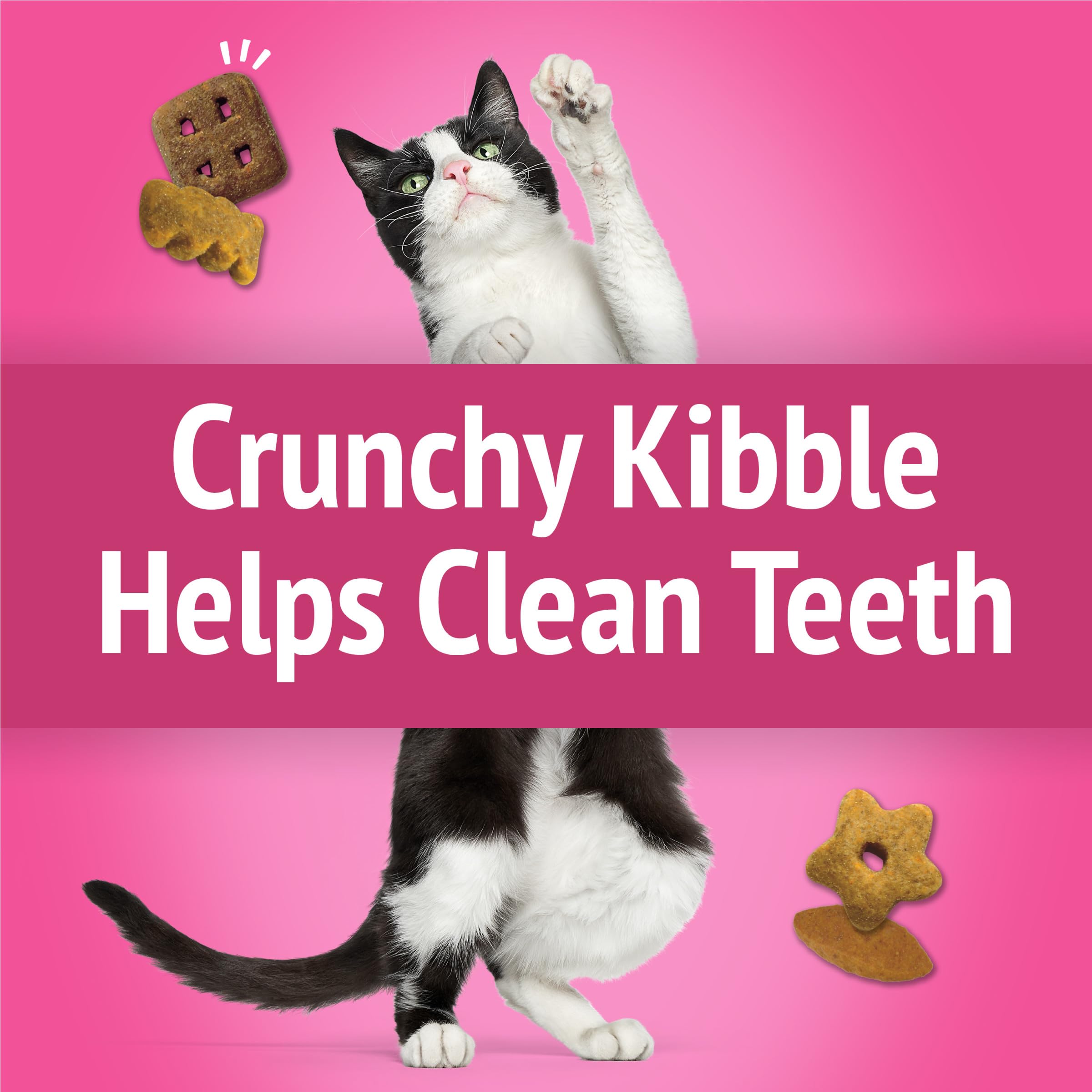 Friskies real chicken ingredient highlighted, chicken first for flavor and protein.