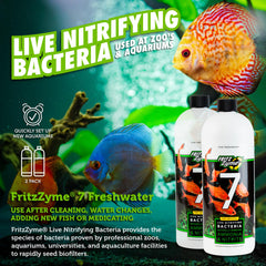 FritzZyme 7 in an aquarium demonstrates a stable biofilter environment