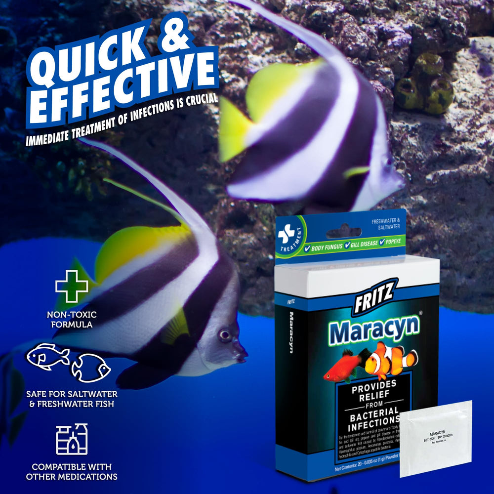 Fritz Aquatics Maracyn aids fish recovery in the aquarium.