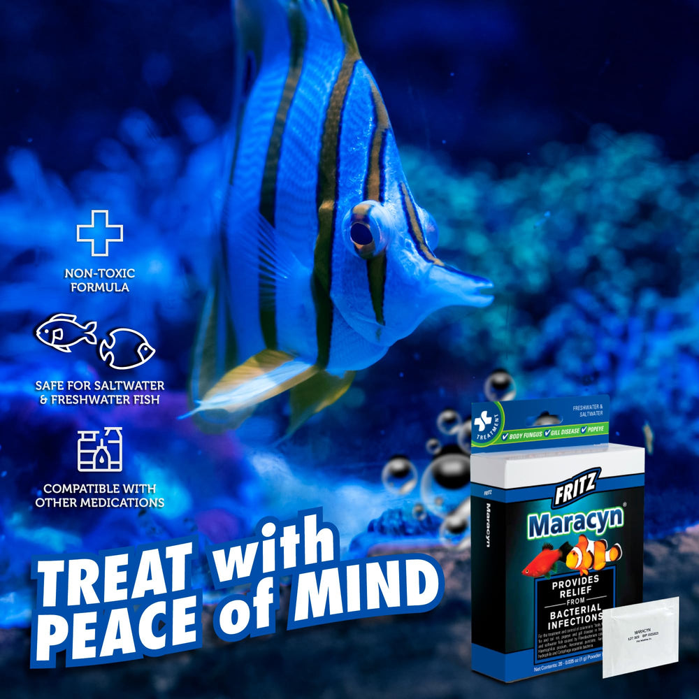 Fritz Aquatics Maracyn for freshwater use supports in-tank fish care.