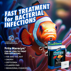 Fritz Aquatics Maracyn tank application demonstrates in-tank dosing during therapy.