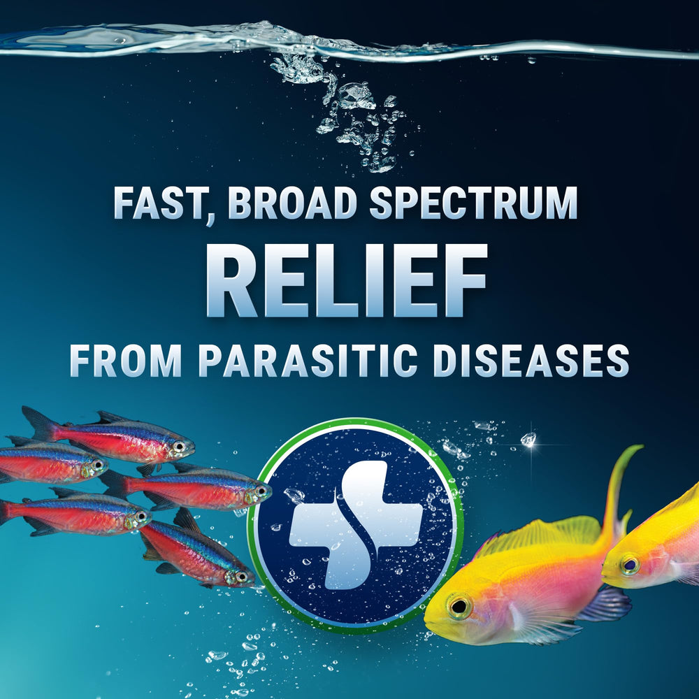ParaCleanse dosing packets simplify precise treatments for tanks.