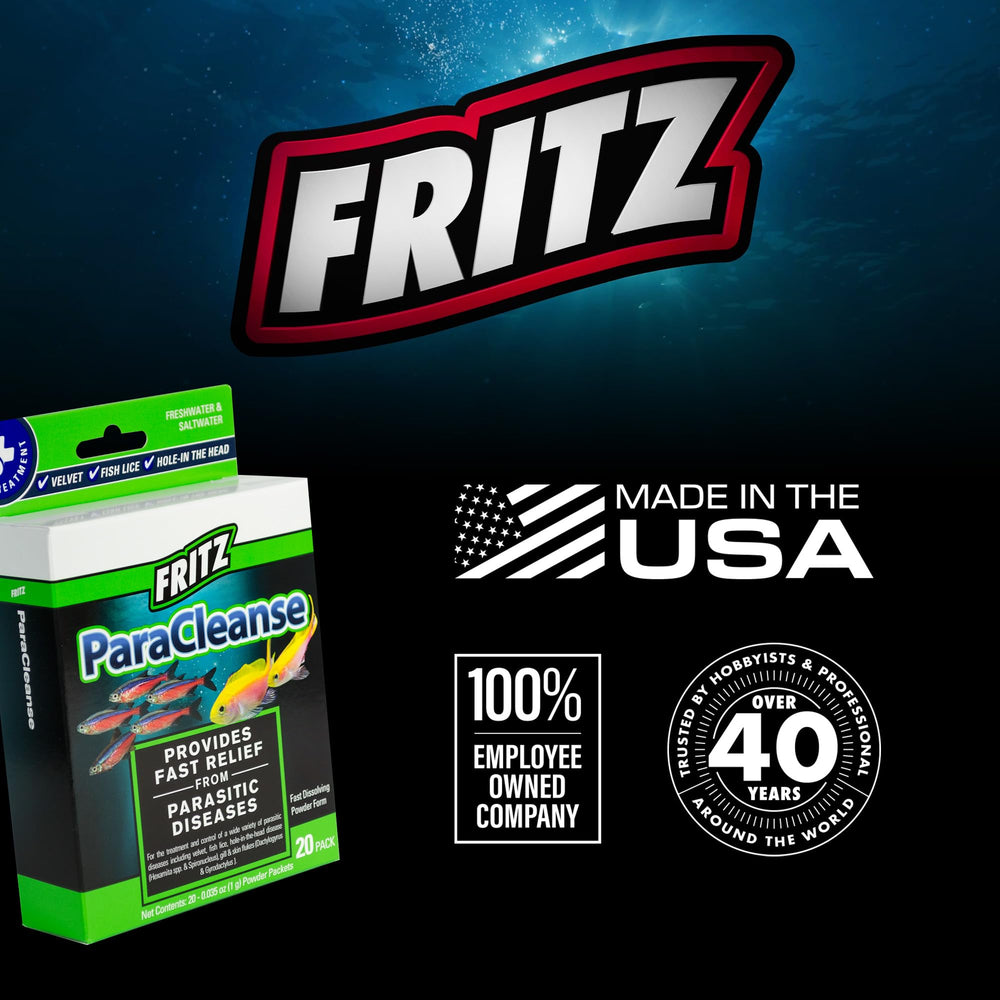 Healthy aquarium ambiance after ParaCleanse treatment showing parasite control benefits.