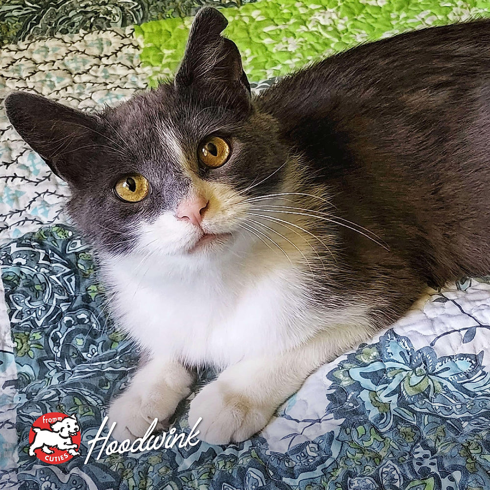 Fromm all-breeds-ages cat food packaging indicating suitability for cats of any age.