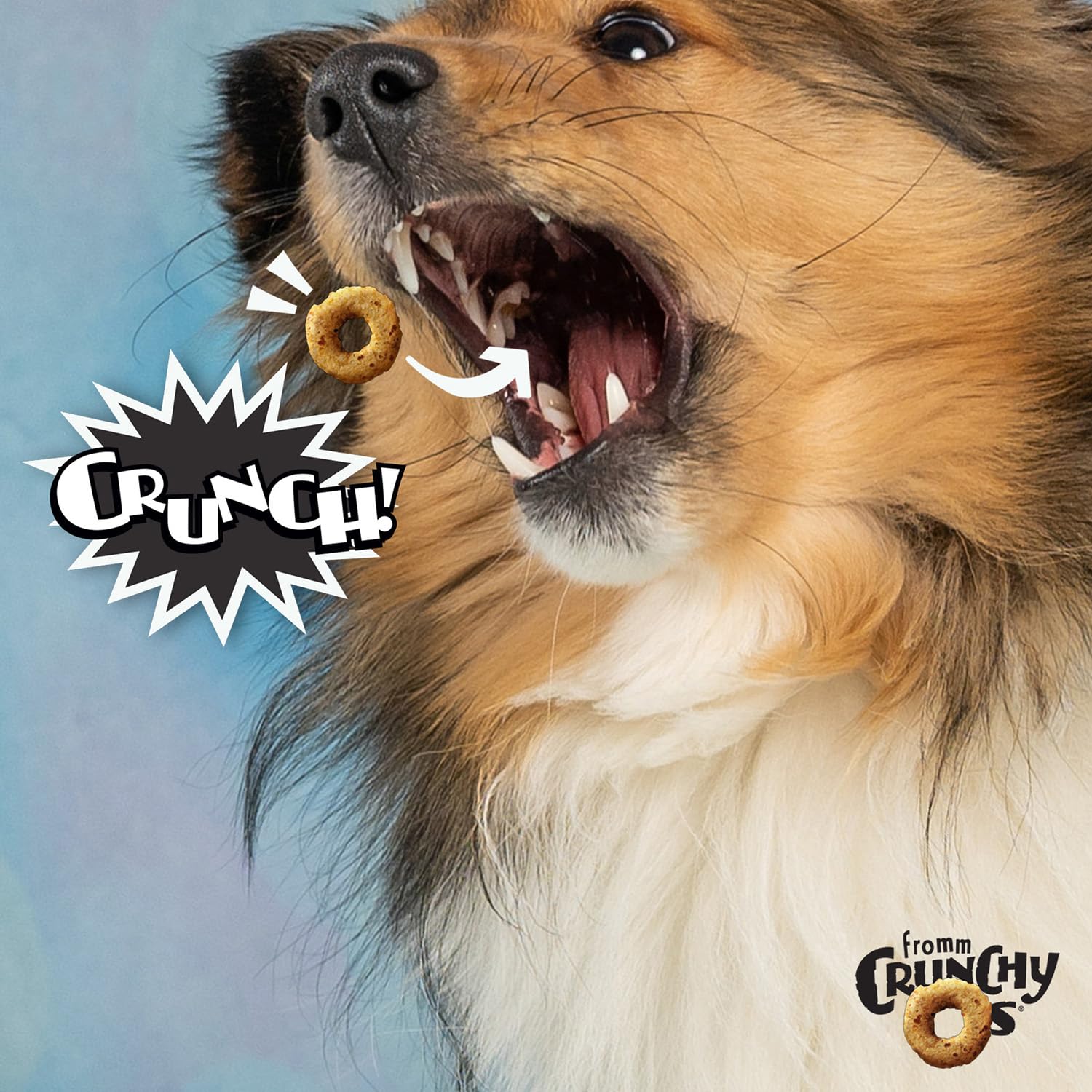 Fromm Crunchy Os Bacon Blasters bag opened reveals savory crunch and aroma for training cues.