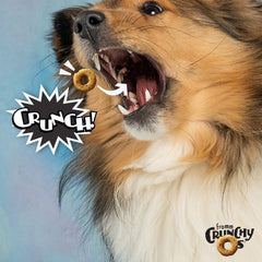 Fromm Crunchy Os Bacon Blasters bag opened reveals savory crunch and aroma for training cues.