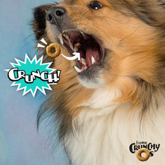 Fromm Crunchy Os Banana Kablammas treats closeup showcases banana flavor appealing to dogs.
